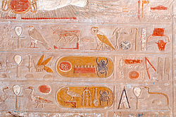 ������ �� ������ ���� ���-����� - ���� ���������, ������, ������