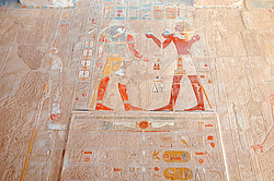 ������ �� ������ ���� ���-����� - ���� ���������, ������, ������