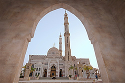 ������������� ������ - ���-������� (���-�������) ����-��-����, ������