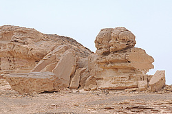 ����� - ��� �����, ��� ��������. ��������� ����, ������ 