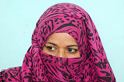 ����������� ��������, ��������� ����������, ������