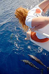 ����������� ������� ������� ������ �� ���������, ��������� � ����. ������� ����, ������