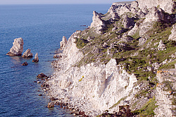 ���������� ���������, ����