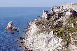 ���������� ���������, ����