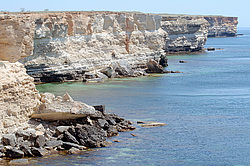 ���������� ���������, ����