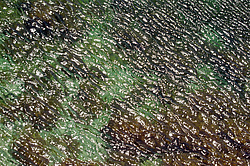 ���� �� ���� ��� �����������, ������ ���� ����, ���������� ���������