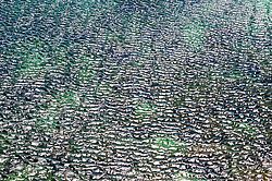 ���� �� ���� ��� �����������, ������ ���� ����, ���������� ���������