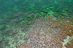 ���� �� ���� ��� �����������, ������ ���� ����, ���������� ���������