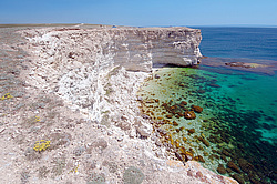 ���������� ���������, ����