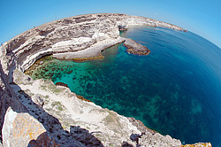 ���������� ���������, ����