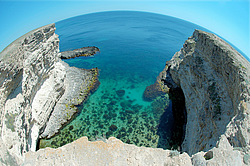 ���������� ���������, ����