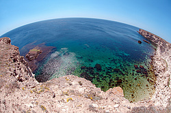 ���������� ���������, ����