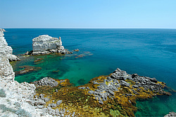 ����� ��������, ���������� ���������, ����