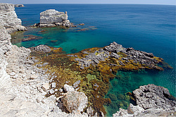 ����� ��������, ���������� ���������, ����