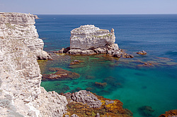 ����� ��������, ���������� ���������, ����