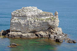 ����� ��������, ���������� ���������, ����