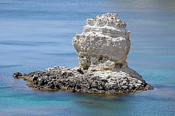 ���������� ���������, ����