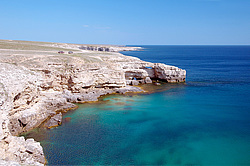 ����� ��������, ���������� ���������, ����