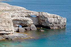 ���������� ���������, ����