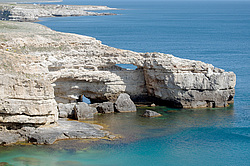 ����� ��������, ���������� ���������, ����