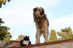 ��� � ��� �� �����