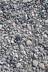 �������� ��������� �����, ���