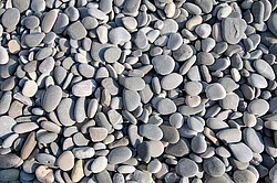 �������� ��������� �����, ���