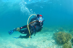 ������� ������� ������ ��� �����, ������ ����, ����