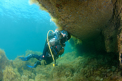 ������� �������-����������� ����������� � ��������� ������. ������ ����, ����