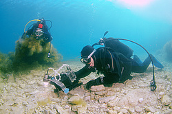 ������������� ������� ��� �����, ������ ����