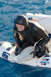 ������������ ��������� ������� � ������ (������) �� �������. �������� ����, ������ ����, ������