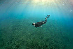 ���������� � ������, ������ ����, �������� ����