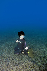 ���������� � ������, ������ ����, �������� ����