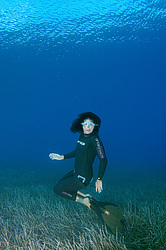 ���������� � ������, ������ ����, �������� ����