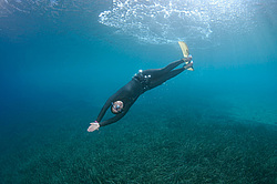 ���������� � ������, ������ ����, �������� ����