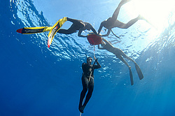 ���������� � ������, ������ ����, �������� ����