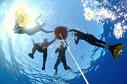 ���������� � ������, ������ ����, �������� ����