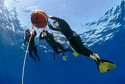 ���������� � ������, ������ ����, �������� ����