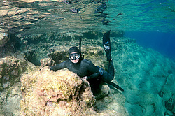 ���������� � ������, ������ ����, �������� ����