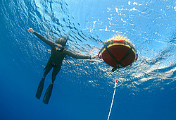 ���������� � ������, ������ ����, �������� ����