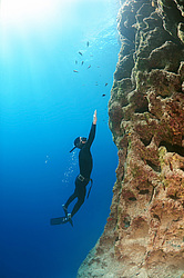 ���������� � ������, ������ ����, �������� ����