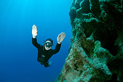 ���������� � ������, ������ ����, �������� ����