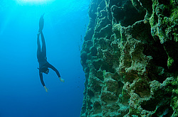 ���������� � ������, ������ ����, �������� ����