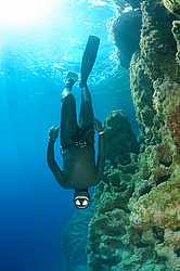 ���������� � ������, ������ ����, �������� ����