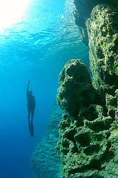 ���������� � ������, ������ ����, �������� ����