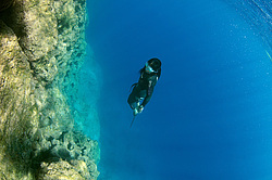 ���������� � ������, ������ ����, �������� ����