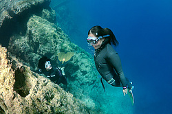 ���������� � ������, ������ ����, �������� ����