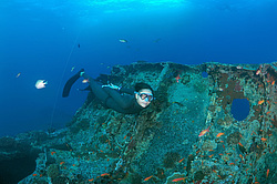 ���������� ����� 'SS Thistlegorm' . ������� ���� , ������