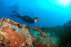 ���������� ����� 'SS Thistlegorm' . ������� ���� , ������