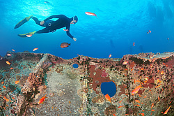 ���������� ����� 'SS Thistlegorm' . ������� ���� , ������